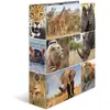 HERMA Classeur à levier 'Animals', A4, animaux d'Afrique