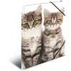Herma 7138 herlitz-chemise élastique-format a4-chat