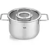 Fissler Collection Pure Faitout En Acier Inoxydable (20 cm, 3,6 l) Avec Couvercle En Verre Et Graduation Intérieure, Compatible Induction, Argenté