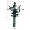 Behr Thermostat, liqiuide de refroidissement MAHLE, par ex. pour Mercedes-Benz, BMW