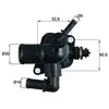 Thermostat d'eau BEHR TI 251 88D