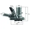 MAHLE Thermostat (liquide de refroidissement) TI25880