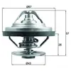 MAHLE Aftermarket Thermostat d'eau (Ref: TX 158 79)
