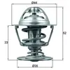 Thermostat d'eau MAHLE TX 173 88D