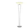 BANKAMP LADY Lampadaire LED, 6115/1-33,
