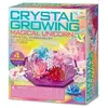 Kit Scientifique Kids Labz Cristal Terrarium - Licorne - 4M - Mixte - Sciences et jeux