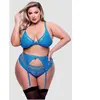 Baci Lingerie Ensemble 3 Pièces Résille & Dentelle Bleue GT