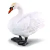 Figurines Collecta - Cygne