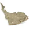 Collecta - Requin Ange - Figurine à Collectionner - Taille M - (Deqube 90188999)