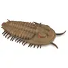 Collecta animal de jeu préhistorique trilobites 9,5 cm ABS brun