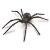 Collecta jouet araignée noire veuve junior 14 cm ABS noir