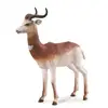 Figurine Collecta Animaux sauvages (L): GAZELLE DAMA 9.2x9.3cm  - Figurine d'animaux  - 3388865 