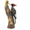 NICI 90188802 Animals, Oiseau, Charpentier, Multicolore