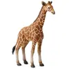 Collecta - 3388535 - Figurine - Animaux Sauvages - Veau de Girafe