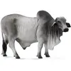 Collecta les animaux de la ferme : Taureau brahmane 14 cm gris