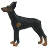 Figurines Collecta Figurine - Chien Dobermann - Peinte à la main - Noir - Enfant - Intérieur