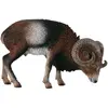 Collecta Collecta-COL88682 Jouet pour Animaux, COL88682, Multicolore