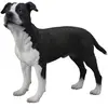 Figurine chien : american staffordshire terrier figurines collecta