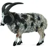 Figurine mouton jacob figurines collecta