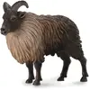 Tachan - Tahr de l'Himalaya, Multicolore (Figurines Collecta 90188758)