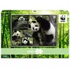 Puzzle Animaux - WWF - Giant Pandas - 1000 pièces - Adulte - Intérieur