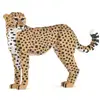 Jekca Blocs De Construction Guepard