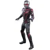 Hot toys Figurine MMS690 Marvel Comics Ant Man & The Wasp : Quantumania Ant Man