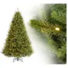 Evergreen Sapin de Noël artificiel Richmond Sapin avec LED Vert 228 cm