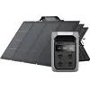 Générateur solaire de la gamme EcoFlow DELTA 3 (PV 220W)