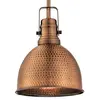 Westinghouse 6103840 Suspension E27 Acier Cuivre lavé
