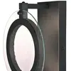 Westinghouse Maddox applique d'extérieur LED, noir