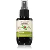 Green Pharmacy Ginseng & Morrocan mint oil Serum sérum pour cheveux se...