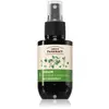 Green Pharmacy Birch Buds & Castrol Oil Care Serum sérum anti-pellicul...