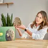 3D sculpture puzzle en carton Lion - Creatifwood