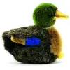 Hansa Peluche Canard Colvert - 12 cm
