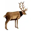 Anima Peluche Cerf 100 Cm Anima