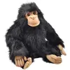 Anima Chimpanze Bebe 25 Cm - Anima