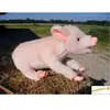 Hansa Peluche Cochon Couché 33 Cm