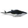 Anima Peluche Anima Baleine Bleue 37 Cm (37 Cm)