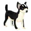 Hansa Chihuahua Plush, NoirBlanc