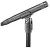 Audio-Technica AT2031 Microphone à condensateur pour instruments