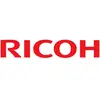 Ricoh SP-C252E Cartouche de toner Extra haute capacité 6500 pages Noir