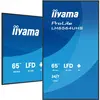 iiyama 65" LED - ProLite LH6564UHS-B1AG - Ecran dynamique 4K UHD