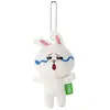 Non communiqué LINE Peluche Cony Mascot BC CO-5 en peluche (avec chaîne)