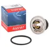 Topran Thermostat d'eau 101455