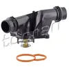 Topran Thermostat d'eau 500548