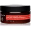 Apivita Color Seal Masque Capillaire | 200 ml
