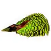 Baetis Plume Lady Amherst