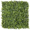 Gardenode Mur végétal artificiel extérieur et intérieur prêt à poser 1m x 1m Lierre