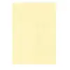 Decadry PCL1677 Boîte de 50 feuilles A4 165g Parchemin champagne